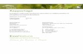 EcoNatura rapportage 2018-019 - Ecological assessment ... · EcoNatura Notitie 2018‐026 – Ecologisch onderzoek steenuilen veldleeuweriken zonnepark Berkelland 3 Figuur 1. Impressies