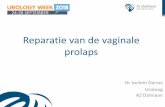 Reparatie van de vaginale prolaps - urologieoostende.be · Types prolaps • Voorste vaginaal compartiment ... Transvaginale operatie met net (mesh) • PROSPECT studie • >1000