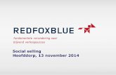 Social selling Hoofddorp, 13 november 2014 - redfoxblue.nl · 13 november 2014 27 ... vraag, uitnodiging, aanbiedingen, informatie) WLEFTSYP E-mail marketing. 13 november 2014 42
