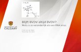 Niets is zo veranderlijk als een RNA virus. · PDF fileAnimals first exposed or primed with NCP BVDV biotype had significantly higher antibody titres But a low secondary proliferative