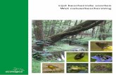 Lijst beschermde soorten Wnb - ecologica.eu · Ecologisch advies en onderzoek Lijst beschermde soorten Wet natuurbescherming Ecologica 4 maart 2019 Blad 3