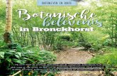 in Bronckhorstrobineroordink.nl/wp-content/uploads/2017/02/BL06_EnRoute-5bP5d.pdf · Graat zaait haar groenten en planten volgens de kalender van Maria Thun, gebaseerd op de maanstanden.