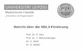 Bericht über die NBL3-Förderung · Bericht über die NBL3-Förderung Medizinische Fakultät Prof. Dr. P. Illes Prof. Dr. J. Meixensberger Dr. C. Wolf Dr. D. Müller „Prävention