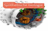Synthetische biologie - Biowetenschap & Maatschappij · Synthetische biologie is een breed terrein, breder nog dan de biologie zelf. Door te sleutelen aan het DNA van cellen kunnen