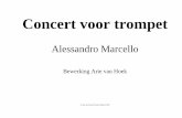 Alessandro Marcelloarievanhoek.nl/onewebmedia/Music/MarcTrp.pdf · 2014-01-14 · V V t b b b b b b b b b b b b c c c c c c c c c c c c Solo trumpet Flute Alto flute Oboe Cor Anglais