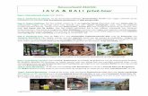 Reisvoorbeeld 23d/22n J A V A & B A L I privé-tourDag 16: Ababi – Candidasa: Stevige wandeling van ongeveer 5 à 7 uur door Balinese erfjes, langs schitterende rijstvelden en prachtige