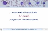 Anemie - UZ Leuven · 2009-03-13 · Definitie “Reductie in het totale aantal RBC, de hoeveelheid hemoglobine of de RBC massa (hematocriet)” verminderd zuurstoftransport zuurstoftekort