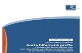 vaatheelkunde informatiebrochure Aorta bifurcatie greffe · Aorta bifurcatie greffe (chirugische behandeling van een aneurisma van de aorta-abdominalis of verwijding van de buikslagader)