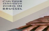 BRUSSEL - Kenniscentrum WWZ...3 Praktijken van cultuursensitie-ve zorg aan ouderen in Brussel Els Nolf, BWR Een derde van de Brusselse 65-plussers heeft een migratie-achtergrond. In