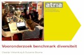 Vooronderzoek benchmark diversiteit · 2018-10-10 · 3 Visie op de vraagstelling (1) Atria & Vinkenburg kiezen voor de rol van “honest broker” (Eagly, 2016). Vanuit die rol steunen