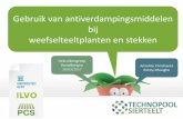 Gebruik van antiverdampingsmiddelen bij weefselteeltplanten en … · 2018-07-13 · Resultaten Spathiphyllum 26 Kennisplatform plantenfysiologie Product Beworteling (%) Controle