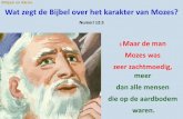 Mirjam en Aäron. Wat zegt de ijbel over het karakter …kenuwbijbel.nl/wp-content/uploads/2015/10/88-Mirjam-en...Mozes was "een zeer zachtmoedig man, meer dan enig mens op de aardbodem",