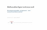 Modelprotocol postmortale orgaan- en weefseldonatie...9/67 Introductie Voor u ligt het Modelprotocol postmortale orgaan- en weefseldonatie. Hierin vindt u praktische informatie over
