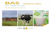BAS - Alfa Accountants en Adviseurs · BAS Melkvee Plus Q1-2018 Voorbeeldrapport Melkvee v4.4 - 1 - Bedrijfsstructuur en KPI's 2018 Q1 2018 Q1 t/m Q1 2018 Begroting 2017 Q1 t/m Q1