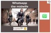 Whatsapp the midwife - Belgium · the midwife. ONS TEAM Hoofdvroedvrouw Karima Soussi 30 vroedvrouwen 4 lactatiekundigen 1 logistiek medewerker 12 zelfstandige vroedvrouwen in bijberoep