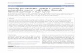 Hepatitis transactivator protein X promotes extracellular ...ira.lib.polyu.edu.hk/.../1/Tse_Hepatitis...  · PDF file Hepatitis transactivator protein X promotes extracellular matrix