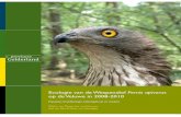 Ecologie van de Wespendief op de VeluweEcologie van de Wespendief Pernis apivorus op de Veluwe in 2008-10 8 1. Inleiding In het kader van de EU Vogelrichtlijn (Natura 2000 netwerk)