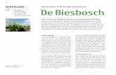 Op avontuur in de jungle van Holland De Biesbosch Biesbosch_artikel_PRINT.pdfBiesbosch tot wat het gebied vandaag is; een afwisselend landschap van rietkragen, grienden, kreken, wilgen-vloedbossen,