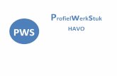 Profielwerkstuk PWS HAVO - Segbroek College · 2016-08-21 · profielwerkstuk (PWS). Het onderzoek kan natuurwetenschappelijk of sociaalwetenschappelijk van aard zijn. Een kritisch