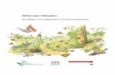 Wild van Vlinders - ARK Natuurontwikkeling2 De Vlinderschng & ARK Natuurontwikkeling 2017 / Wild van Vlinders. Herstelplan voor Zuidoost-Nederland Wild van Vlinders Herstelplan voor