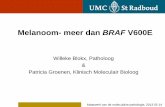 Melanoom- meer dan BRAF V600E - moleculaire-pathologie.nl Maatwerk van de Pathologie... · Melanoom- meer dan BRAF V600E Willeke Blokx, Patholoog & Patricia Groenen, Klinisch Moleculair