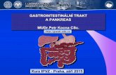 GASTROINTESTINÁLNÍ TRAKT A PANKREAS MUDr.Petr …ukb.lf1.cuni.cz/ppt/bioge_ipvz_2015.pdfRole of hydrogen and methane breath testing in gastrointestinal diseases Digestive and Liver