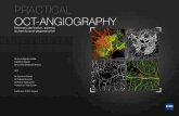 PRACTICAL OCT-ANGIOGRAPHY · 2017-05-24 · 6 PREFACE Many diseases threatening central vision are accompanied by a development of abnormal vessels, intraretinal edema or circulatory
