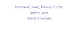Pancreas, liver, biliary ducts, portal vein Karel Smetanaanat.lf1.cuni.cz/souhrny/alekzs1202.pdf · Ductus choledochus Ductus pancreaticus minor Ductus pancreaticus major F. H. Netter: