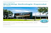 Uitnodiging Workshop Nefrologie Papendal · PDF file 2020-02-13 · Afdeling Nefrologie, UMCG, Groningen 12.30-13.30 LUNCH 13.30-14.00 Intraveneuze ijzerbehandeling bij hemodialyse