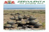 Zeeculenta 2012 cover 2012-10.pdfDe doorns, de grootste attractie van deze plant, zijn roodachtig of wit, voorzien van hoornkleurige punten. De ongeveer 12 gebogen randdoorns, waarvan