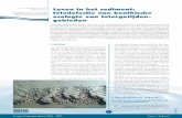D. van der Wal, T Ysebaert, Leven in het sediment ... · 3. Teledetectie van intergetijdengebieden 3.1. Sediment en microfytobenthos uit remote sensing Het in kaart brengen van de