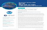 Deepwater Horizon 2020 Dự án Phục hồi Cá biển · Deepwater Horizon Các Câu hỏi Thường gặp | 2 trợ cho các dự án phục hồi cá và động vật không