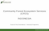 Community Forest Ecosystem Services (CFES) INDONESIA · 2017-04-10 · Improving agroforestry system Carbon Stock (tonnes C/ha) 97.88 218.74 77.63 Baseline Land clearing 1,000 ha