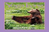 YogaTherapy - Yoga Living Magazineyogalivingmagazine.com/wp-content/issues/2011/spring/YogaWebSp1_18.pdfYogaTherapy Pg 12 Free the Creative Spirit Pg 16 Eco Yogis Pg 24 Bodywork Pg