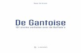De Gantoise...Op een zaterdagavond, de 24ste maart 1984 om precies te zijn, speelde AA Gent thuis voor 8000 toeschouwers. Frans Van Den Wijngaert leidde de wedstrijd, die niet veel