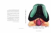 Hommage à Tristan Tzara - Levure littérairelevurelitteraire.com/wp/wp-content/uploads/2016/04/... · Hommage à Tristan Tzara Editions TRANSIGNUM V e r b a l i s e r L ’ H O M