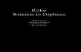 picture-poems.compicture-poems.com/rilke/poster_sonnets-to-orpheus-1.pdf · Sonnets to Orpheus VII [FIRST PARTI Only in the fields of Praise may Complaint go, the Of the plaintive