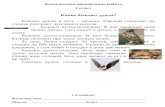 malhanova-osa.ucoz.ru · Web viewКомплексная проверочная работа 2 класс Какие бывают дупла? Каждое дупло в лесу –