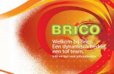 Welkom bij Brico. Een dynamisch bedrijf, een tof team....Brico is sinds 1973 actief op de Belgische markt. Dankzij de vernieuwende en kwalitatieve aanpak is Brico uitgegroeid tot de