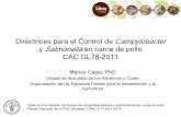 Directrices para el Control de Campylobacter y Salmonella ... · PDF file Directrices para el Control de Campylobacter y Salmonella en carne de pollo CAC GL78-2011 Marisa Caipo, PhD