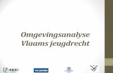 Omgevingsanalyse Vlaams jeugdrecht · 2019-12-11 · •Overeenkomstig matrix •Link met de zes werkgroepen aangestuurd vanuit Jongerenwelzijn •Tekst in reliëf •Zwart: hard