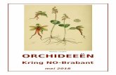 Neottia cordata ORCHIDEEËN · Oncidium sphacelatum 7,5 Gevorderden Fam. Stompf Dendrobium x delicatum 8,3 Fam. Teurlincx Aerangis fastuosa 8,6 Cattleya skinneri 8,1 Bulbophyllum