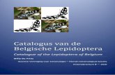 Catalogus van de Belgische Lepidoptera · Catalogus van de Belgische Lepidoptera — Catalogue of the Lepidoptera of Belgium 5 Fig. 1. Triodia sylvina (Linnaeus, 1761) , afwijkend