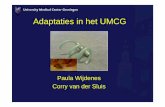 adaptaties umcg [Compatibiliteitsmodus]Adaptaties in het UMCG Paula Wijdenes Corry van der Sluis In den beginnne…. Met adaptatietechniek: Aan/uit knop Rotator knop Elleboog-ontgrendeling