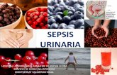 SEPSIS URINARIA...- La SU es un factor de riesgo de colonización por SARM y de ITU y bacteriemia por enterobacterias BLEE, P.aeruginosa y Enterococcus spp 1 - Cateterismo corto: Monomicrobiana.