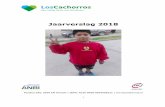 Jaarverslag 2018 - Los Cachorros...4 1. Los Cachorros 1.1. De stichting Stichting Los Cachorros zet zich in voor straatkinderen en kinderen uit verhoogde risicosituaties van 6 tot