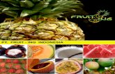 fruit-ing.comfruit-ing.com/brochures/FRUIT_ING_SPANISH.pdf · el noni y el salak. Las especialidades de PT. FRUIT — ING Indonesia incluyen tamb'én sabores refrescantes Como el