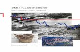 OUD HILLEGERSBERG - Rotterdam · 2017-02-28 · In Oud Hillegersberg treedt sinds 1960 door de verlaging van het polderpeil op grote schaal droogstand op, vooral in de zomer wanneer