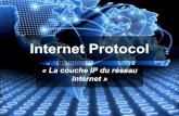Internet Protocol - FIL Lille 1noe/rsx_portail/files/...Adressage IPv4 : 32 bits ~ 4 Milliards d’adresses dont ~ 18 Millions d’adresses privées et ~ 270 Millions d’adresses