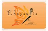 Info Chrysallis 17chrysallis.org.es/wp-content/uploads/2017/12/Info-Chrysallis-17.pdf · de no discriminación, no segregación y en la Ley de Información Sanitaria y Autonomía